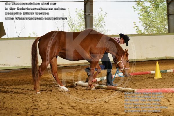 s_K3F06690.jpg